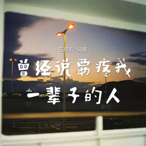 曾经说要疼我一辈子的人(伴奏)-王佳音