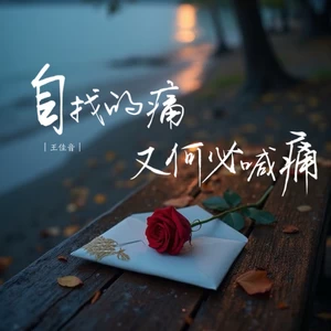 自找的痛又何必喊疼（DJ诗意版）(伴奏)