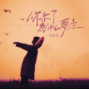 你来了为什么要走(伴奏)
