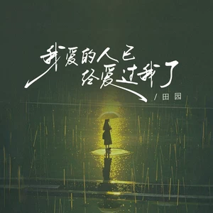 我爱的人已经爱过我了(DJ阿本版和声伴奏)