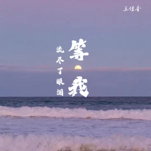 等我流尽了眼泪(伴奏)