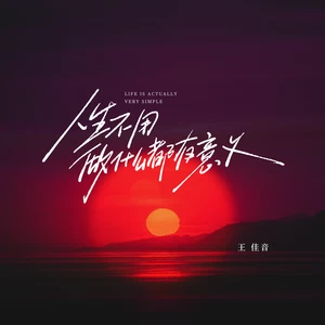 人生不用做什么都有意义