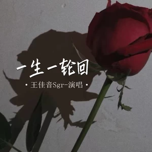 一生一轮回(伴奏)