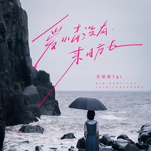 爱情没有来日方长(伴奏)