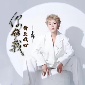 你伤我情负我心(伴奏)