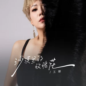 沙漠里的玫瑰花(伴奏)