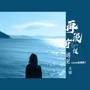 再没有过遇见(Live合唱版)