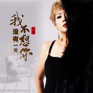 我没有一天不想你（DJ魅音版）