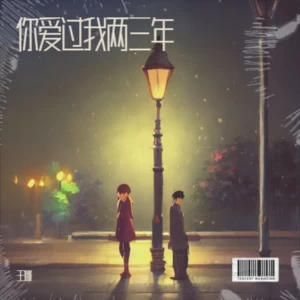 你爱过我两三年(伴奏)