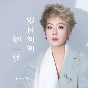 岁月匆匆如一梦(伴奏)
