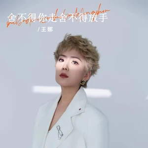 舍不得你走舍不得放手(伴奏)