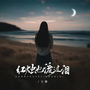 红烛也流过泪（DJ京仔版）(伴奏)