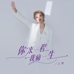 你来一程我痛一生(伴奏)-王娜