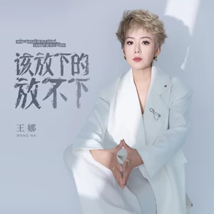 该放下的放不下(伴奏)-王娜