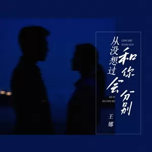 从没想过和你会分别(伴奏)-王娜