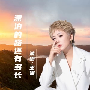 漂泊的路还有多长-王娜