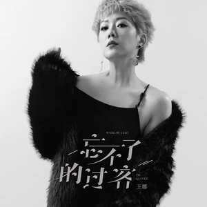 忘不了的过客(伴奏)