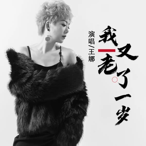我又老了一岁（女版）(伴奏)