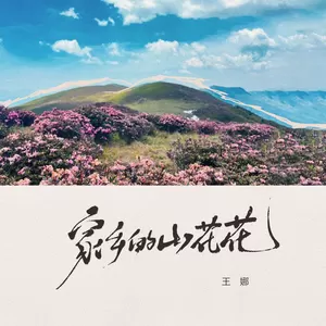 家乡的山花花(伴奏)