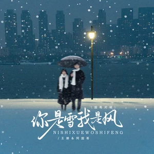 你是雪我是风（DJ京仔国粤对唱版）
