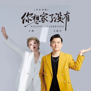 你想家了没有（声声对唱）