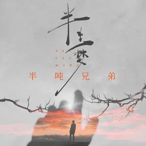 半生梦