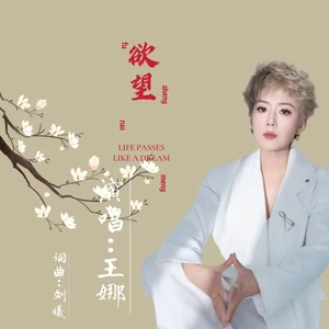 欲望(伴奏)-王娜