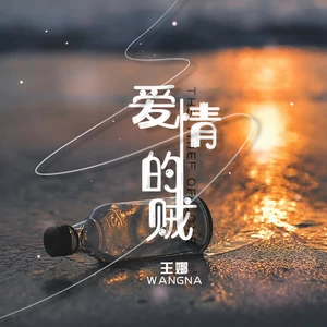 爱情的贼(DJ默涵版)-王娜