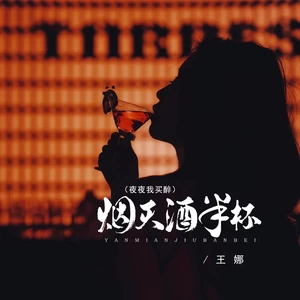 烟灭酒半杯（夜夜我买醉  DJBanan版）-王娜