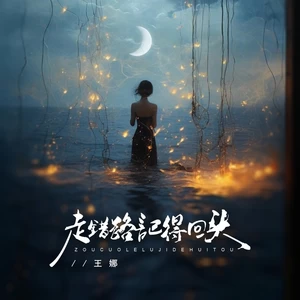 走错路记得回头（DJBanan吉特巴版）-王娜