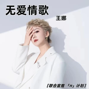无爱情歌(伴奏)-王娜
