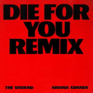 Die For You(Instrumental)