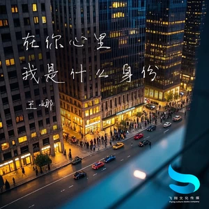 在你心里我是什么身份(伴奏)
