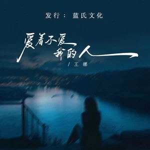 爱着不爱我的人（DJ蓝小龙版）