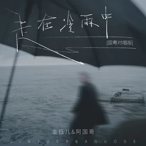 走在冷雨中(国粤对唱版)