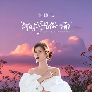 何时再见你一面(伴奏)