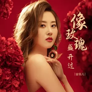 像玫瑰盛开过(DJ彭锐版)