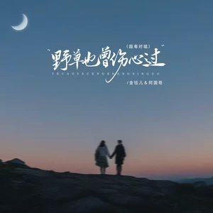 野草也曾伤心过（国粤对唱）(伴奏)