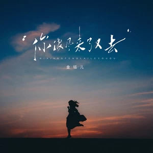 你像风来了又去(伴奏)