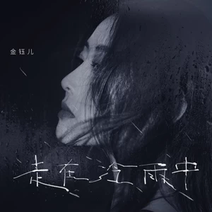 走在冷雨中(DJ九零版)