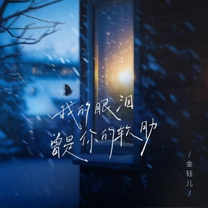 我的眼泪曾是你的软肋(DJ铁柱版伴奏)