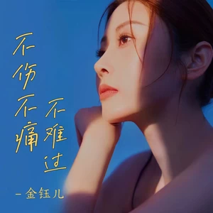 不伤不痛不难过（DJ豪大大版）