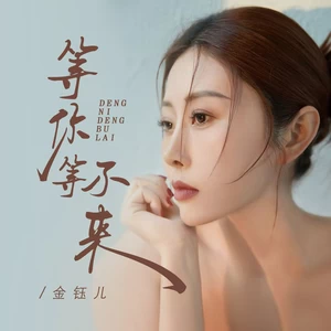 等你等不来(伴奏)