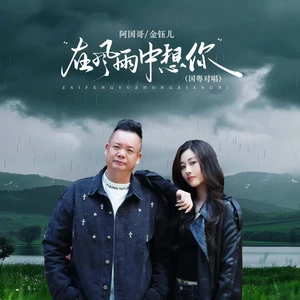 在风雨中想你（国粤对唱）