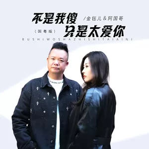不是我傻只是太爱你(国粤版伴奏)