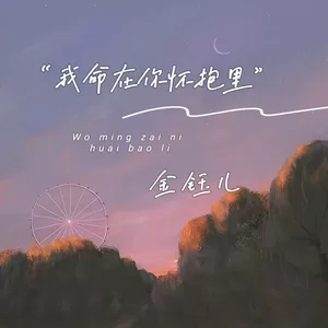 我命在你怀抱里-金钰儿