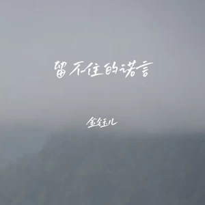 留不住的诺言(DJ长梦版)-金钰儿
