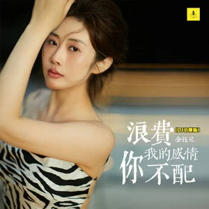 浪费我的感情你不配(DJ小刚版伴奏)