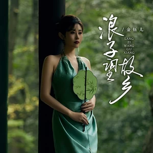 浪子望故乡(伴奏)