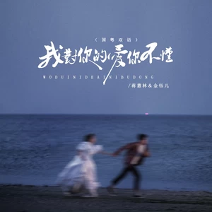 我对你的爱你不懂（DJBanan国粤双语版）(伴奏)
